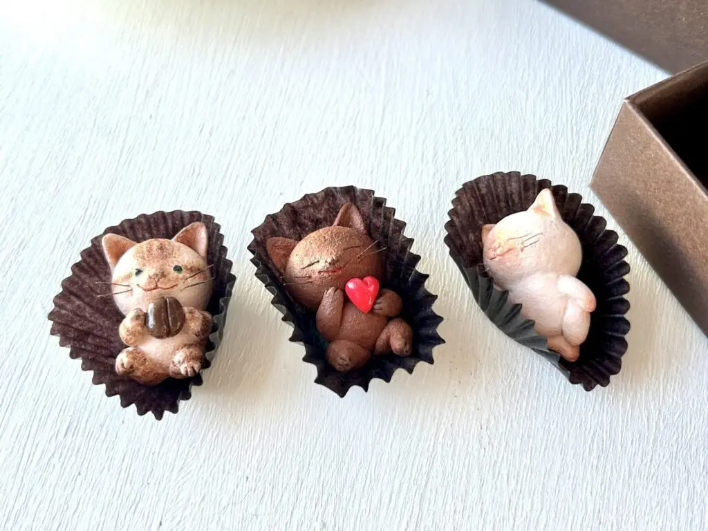 チョコレートみたいな猫さんの楽しみ方3選＾＾ | 手ノヒラ堂