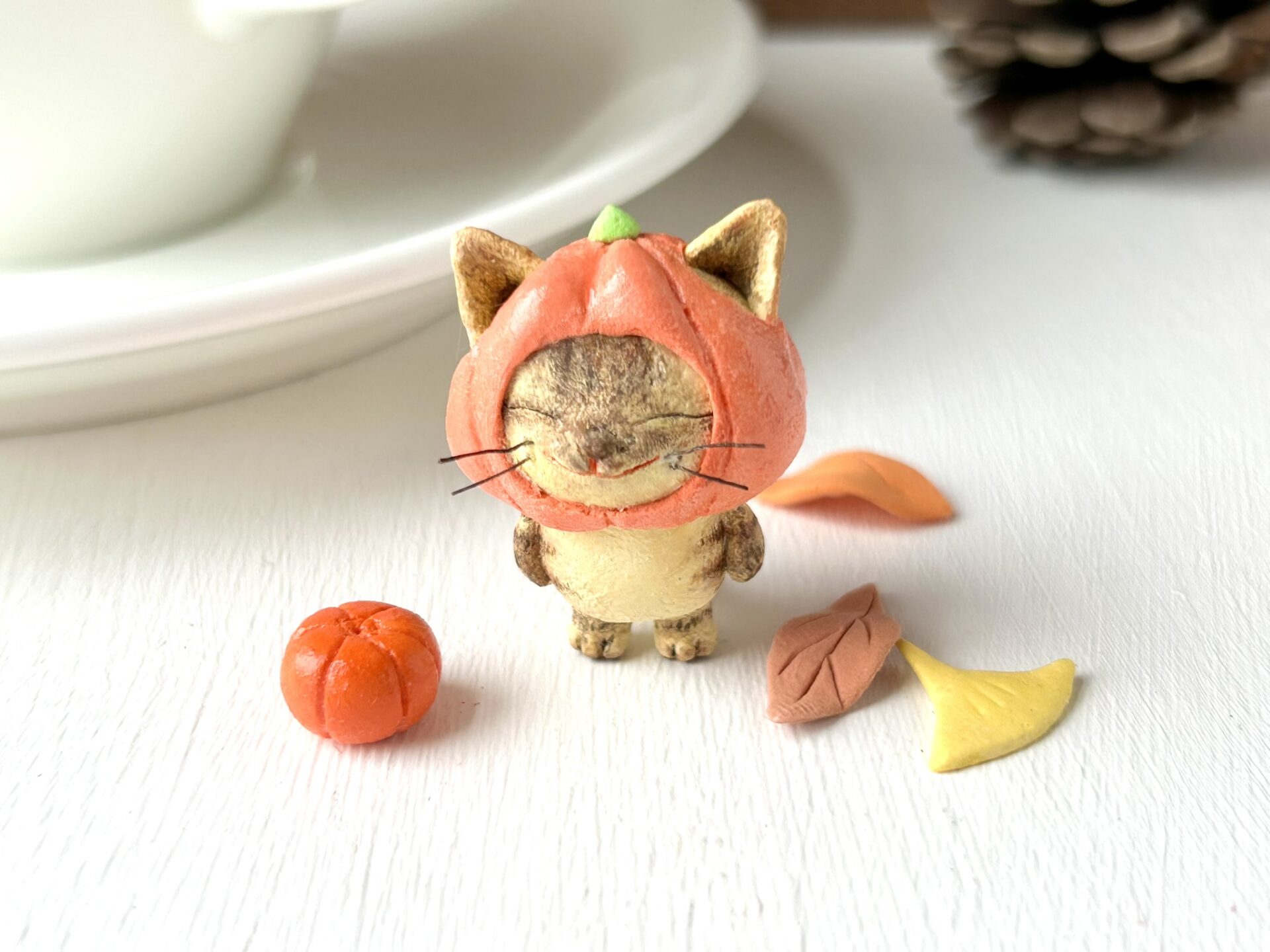 カボチャをかぶった猫さん(キジトラ）
